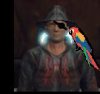 parrot.jpg