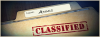 Ammis Banner.png