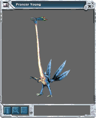 Entropia 2010-05-19 20-43-33-87.gif