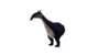 Mutated Nusul-profile.png