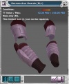 Item armor hermesL arms.jpg