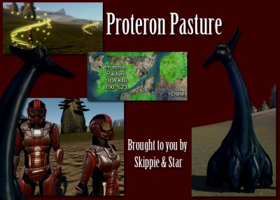 Proteronpasture3.jpg