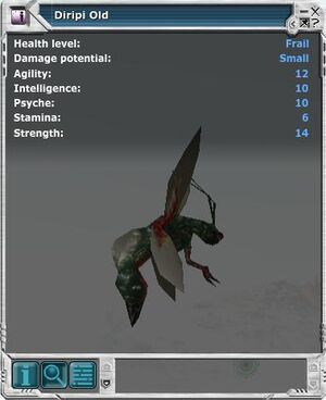 Diripi 02.jpg