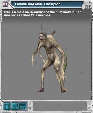 Calamusoid Male 03.jpg