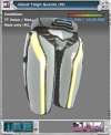 Item armor ghost thigh.jpg