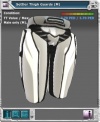 Item armor settler thigh.jpg
