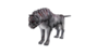 Mutated Korwil-profile.png