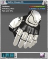 Item armor settler gloves.jpg