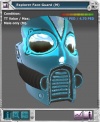 Item armor explorer face.jpg