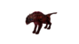 Mutated Halix-profile.png